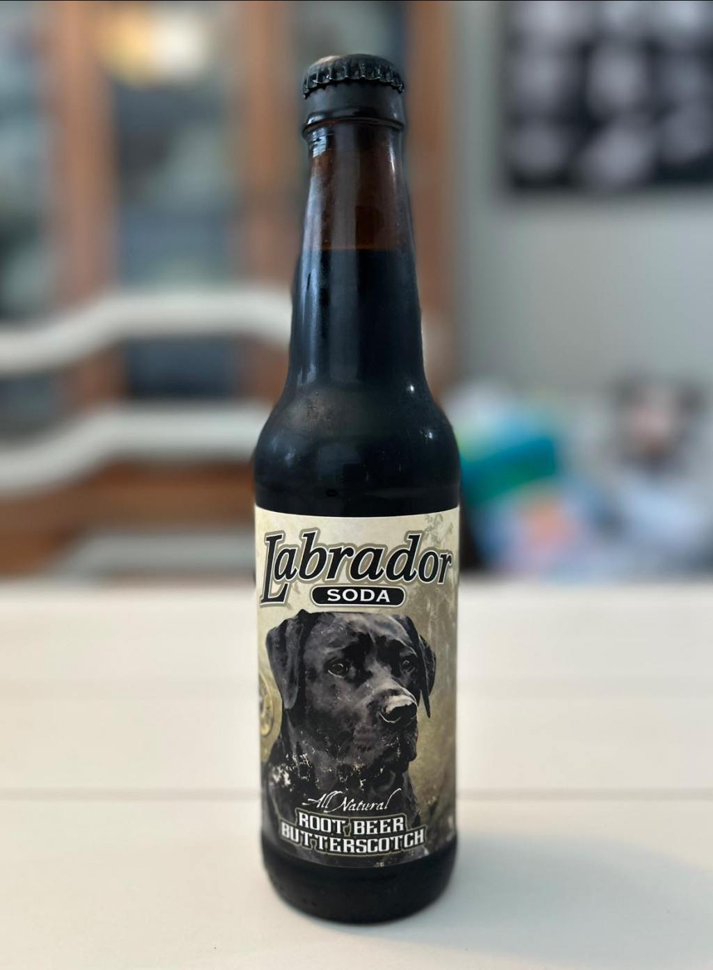 No. 121 –&nbsp;Labrador